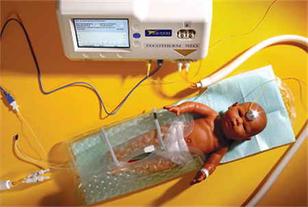 Neonatal cooling blanket