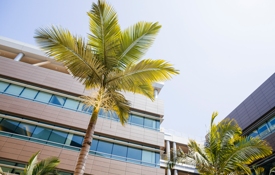 Rady Children's Facility