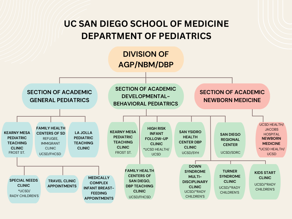 AND-Org-Chart-7-18-24.png