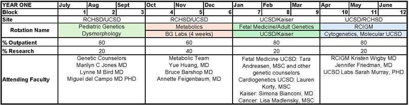 Block schedule for year one of genetics fellowship