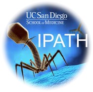 iPath logo