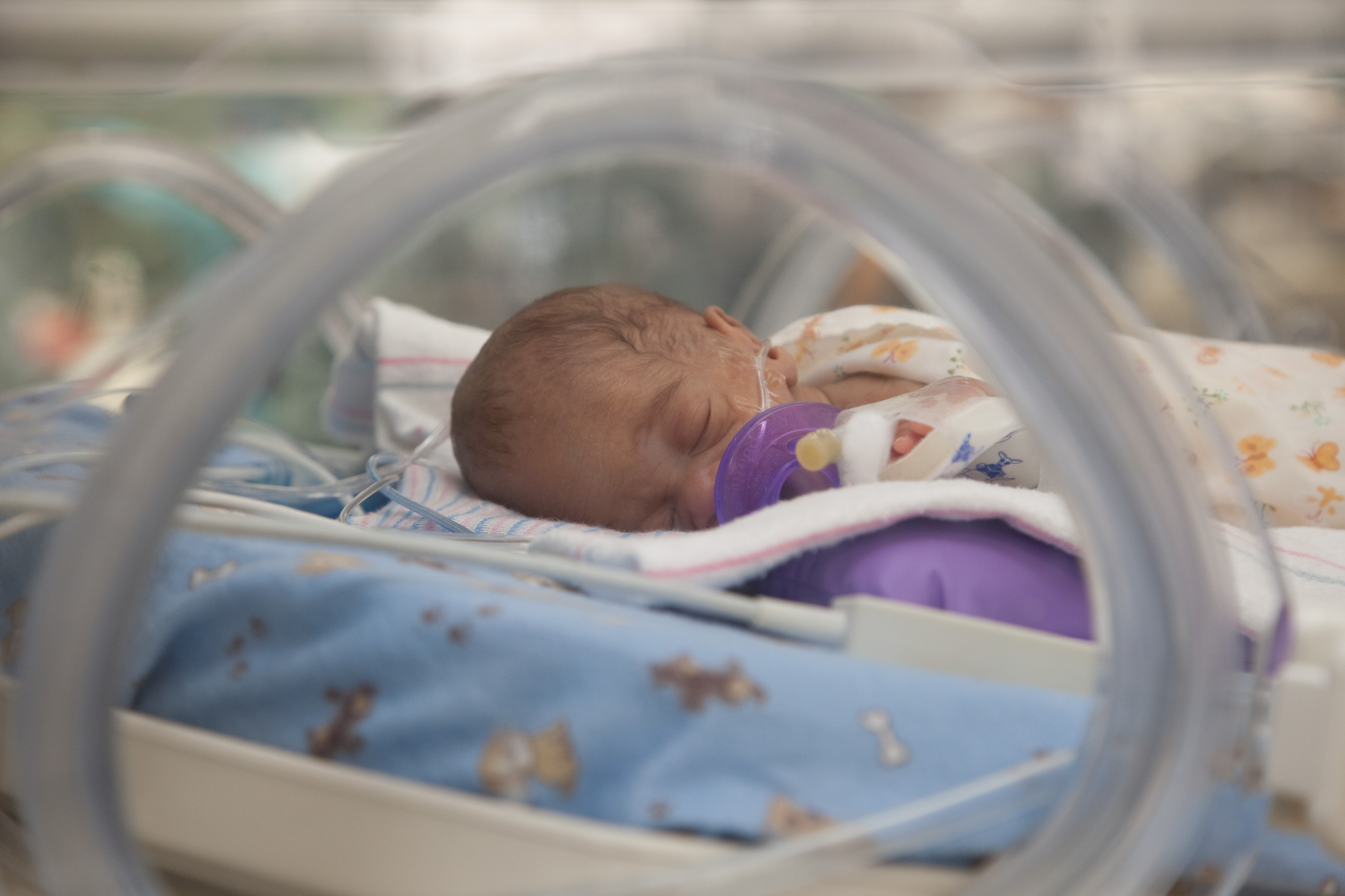 NICU baby laying on an adult chest