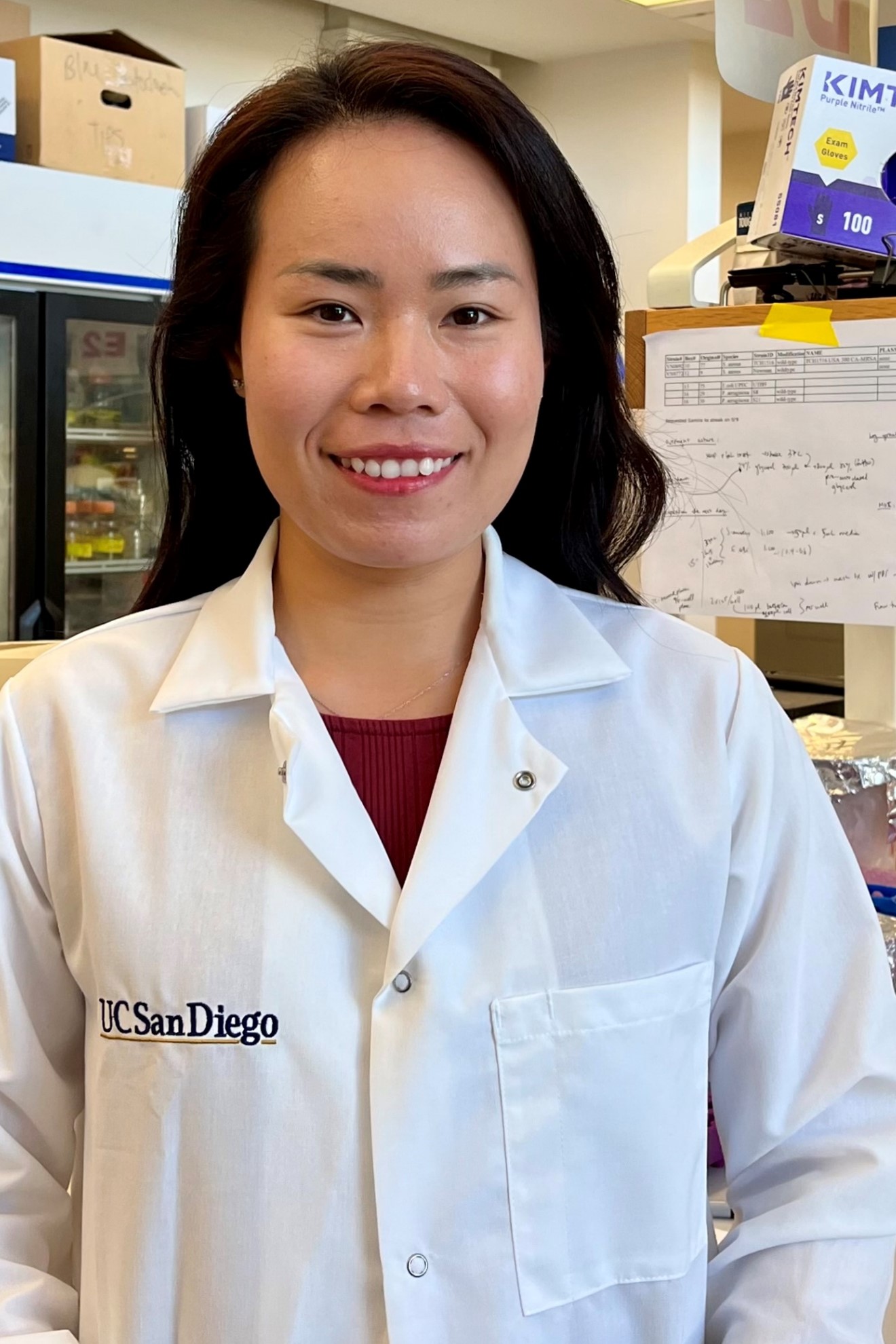 Anh Ngo, Ph.D.