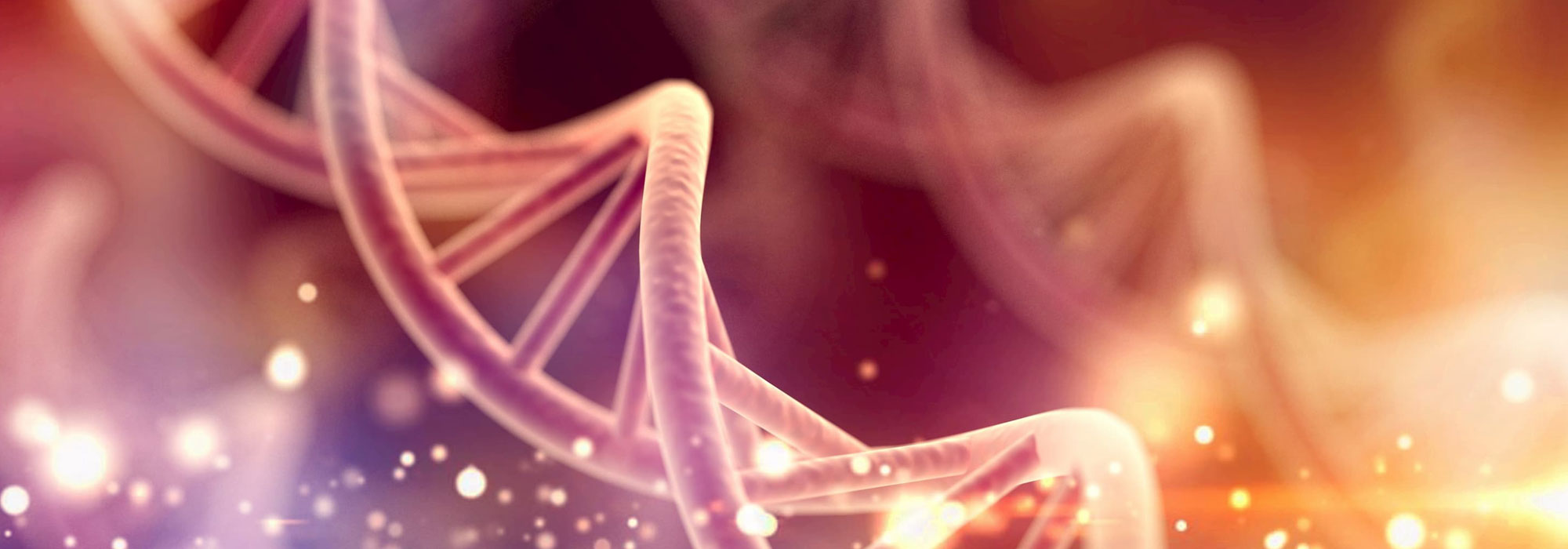 Genome Information Sciences