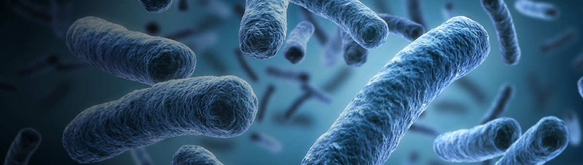 Pediatric Infectious Diseases