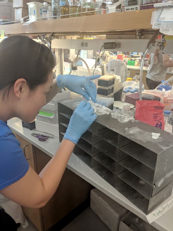 lab pic 2