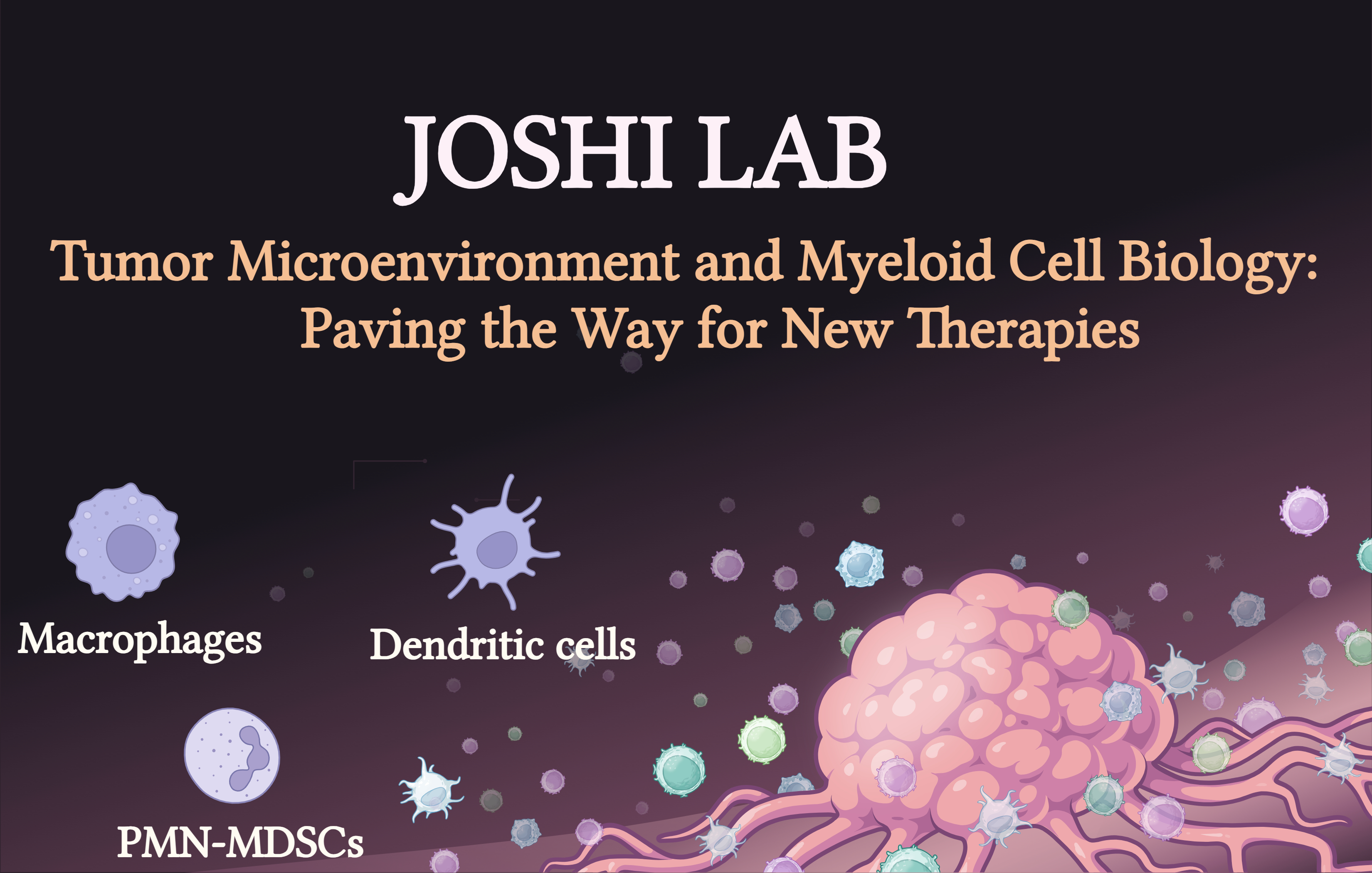 Tumor Microenvironment and Myeloid Cell Biology