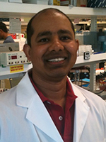 Kumud K. Singh, Ph.D.