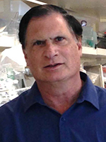 Stephen A. Spector, MD